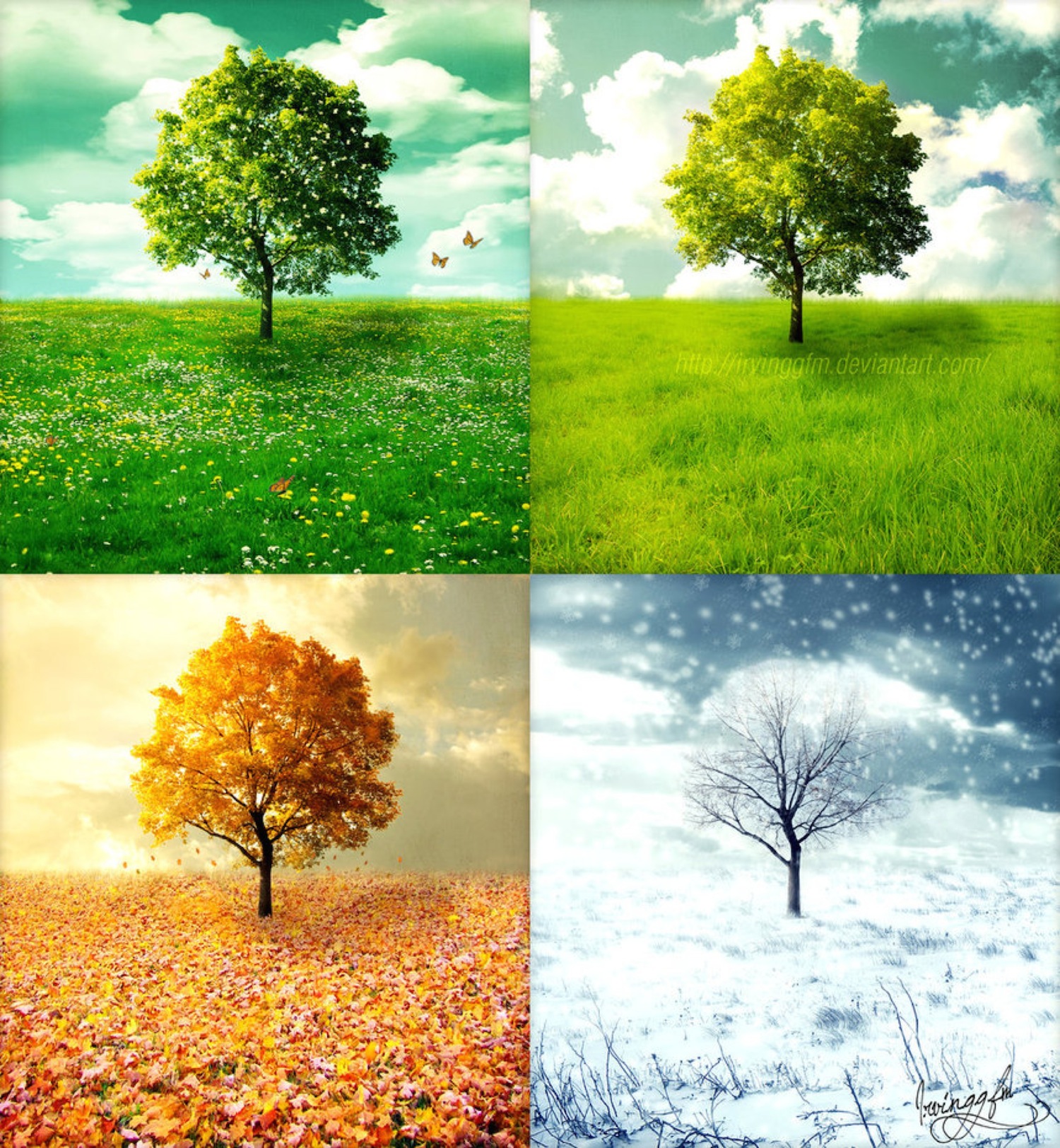 the-four-seasons_Katie-Horton-and-artists-copy-v2